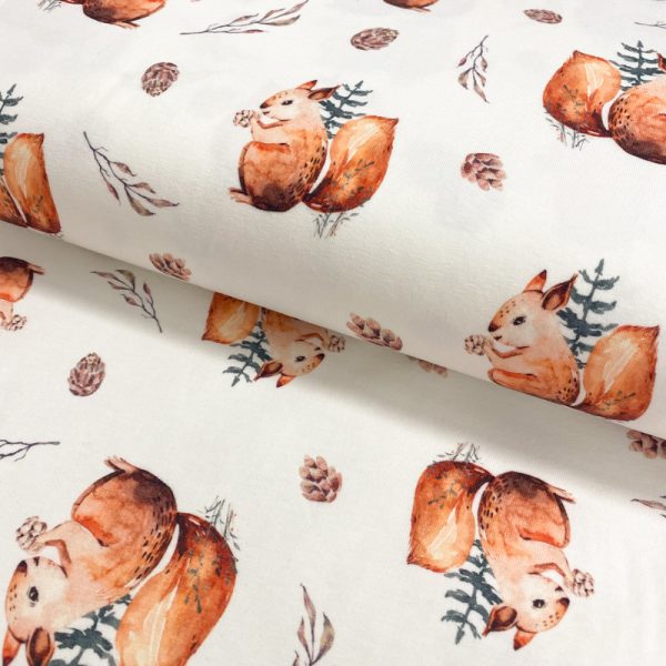 Úplet Snoozy fabrics Squirrel digital print